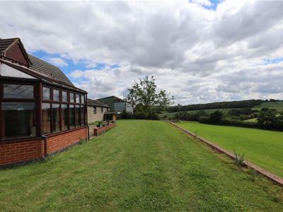 Picture 23
